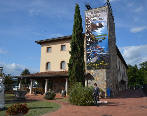 ANDREA BORELLA espone a Guamo (LU)